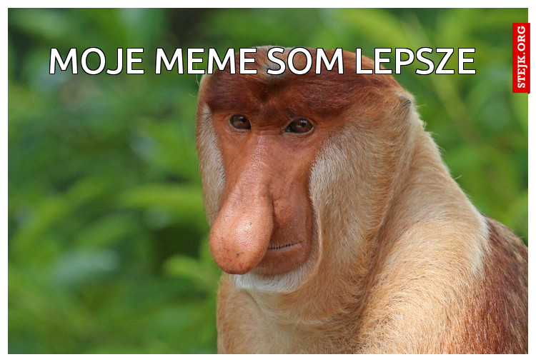 moje meme som lepsze 