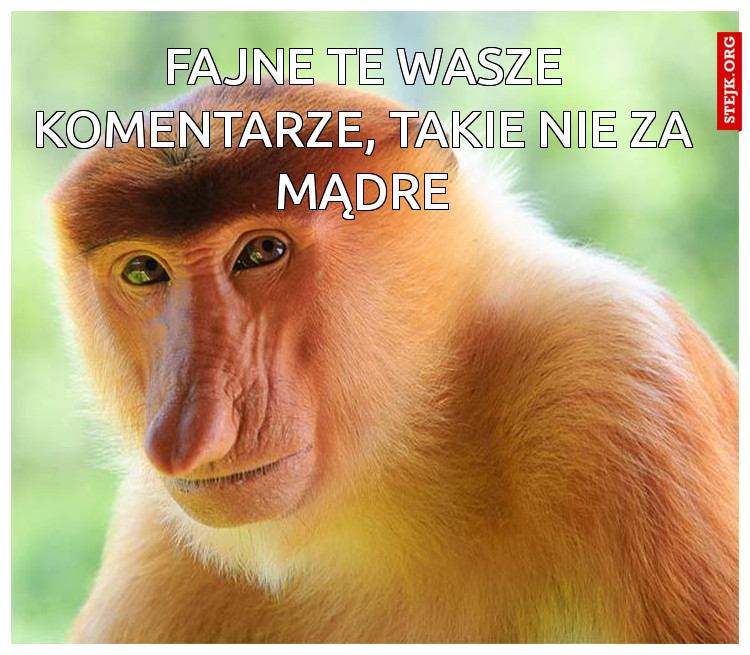 Fajne te wasze komentarze, takie nie za mądre