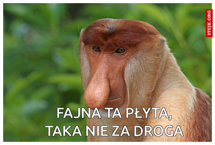                Fajna ta płyta,                taka nie za droga