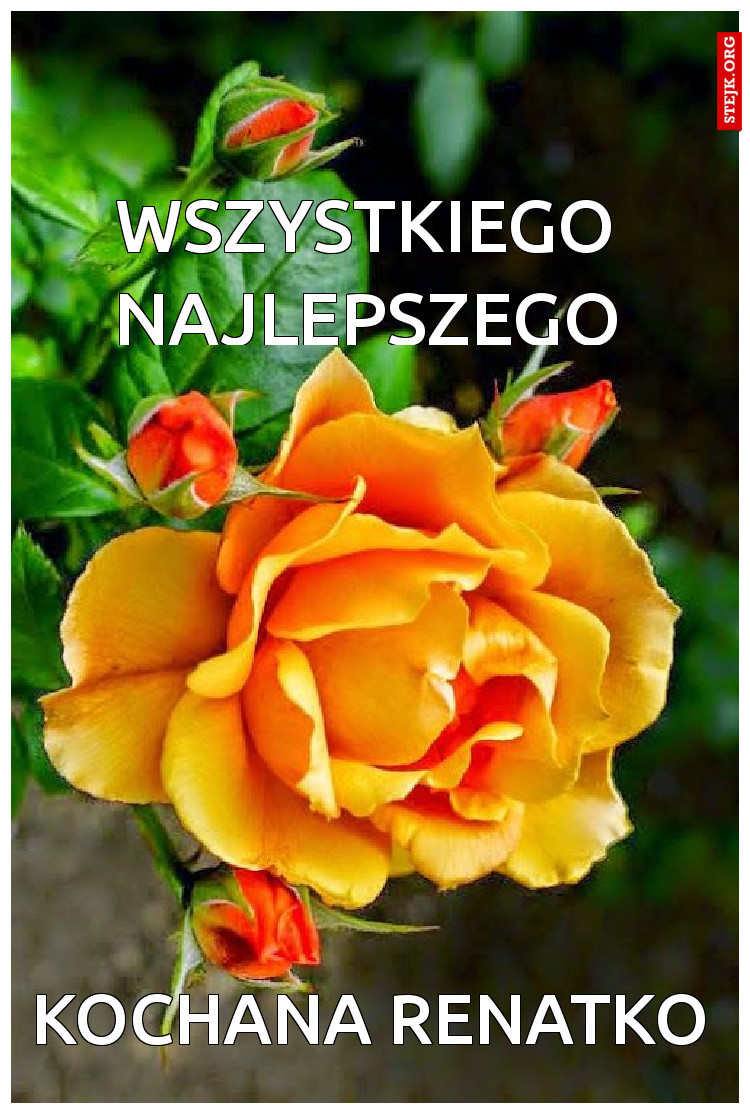 wszystkiego najlepszego
