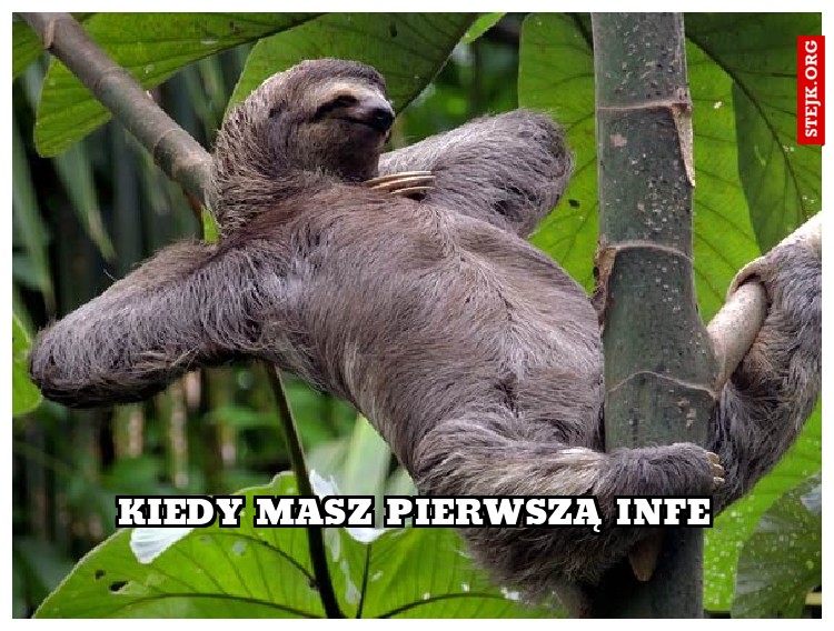 Kiedy masz Pierwszą infe