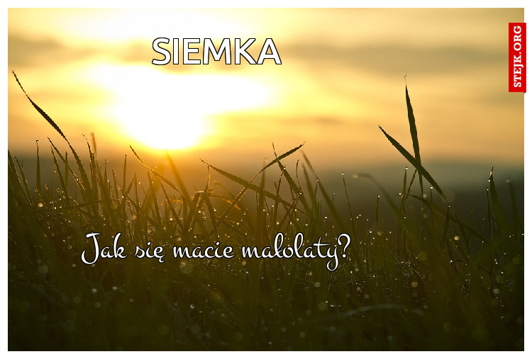 siemka