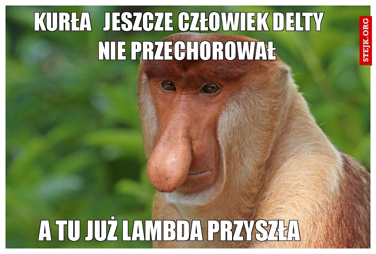         kurła   jeszcze człowiek delty             nie przechorował