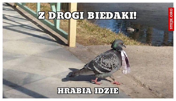 Z drogi biedaki!