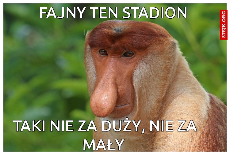 Fajny ten stadion