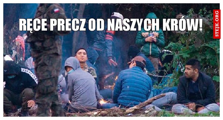 ręce precz od naszych krów!