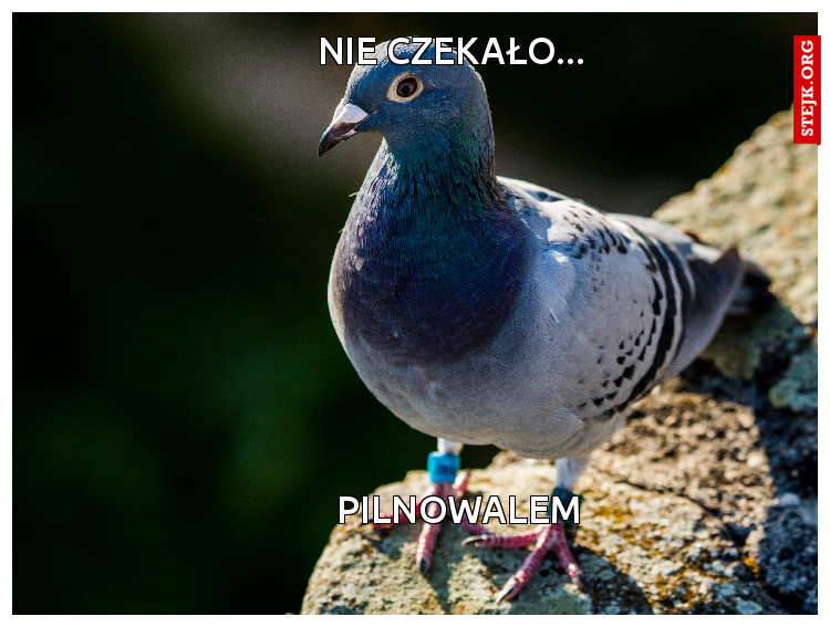 Nie czekało...