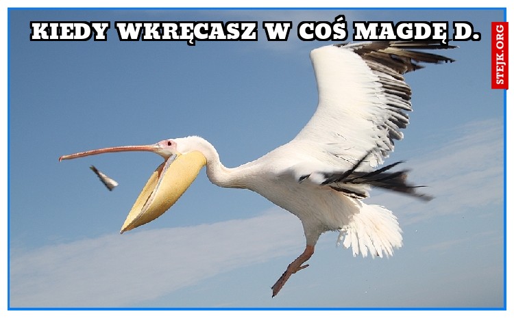 KIEDY WKRĘCASZ W COŚ MAGDĘ D.