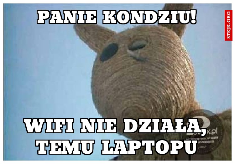 PANIE KONDZIU!