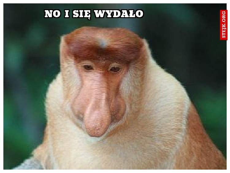 no i się wydało