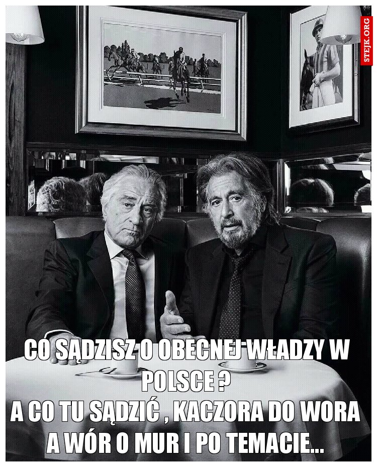 Co sądzisz o obecnej władzy w polsce ?