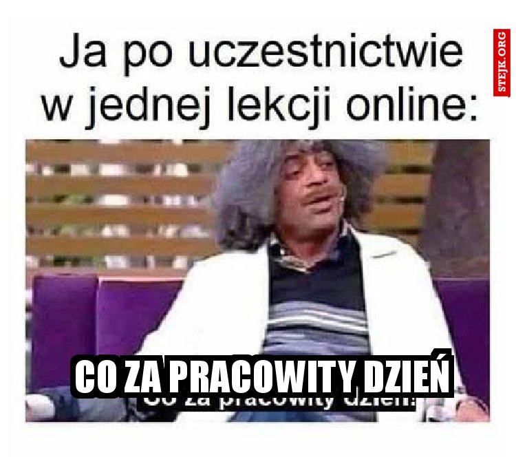 co za pracowity dzień