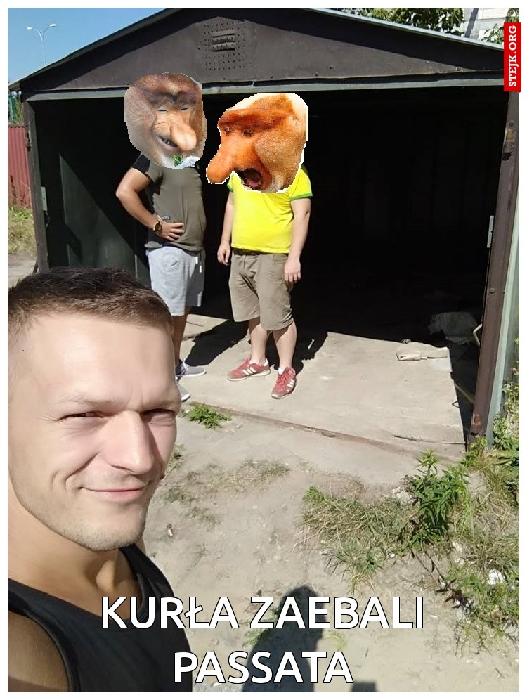 KURŁA ZAEBALI PASSATA