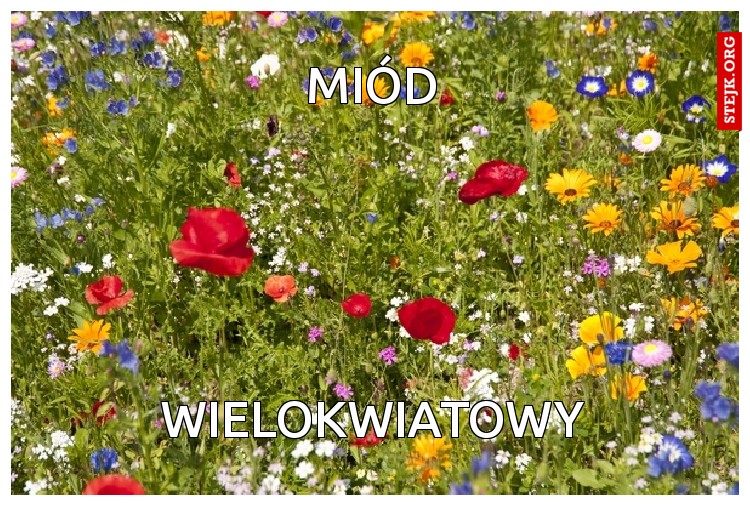 miód wielokwiatowy