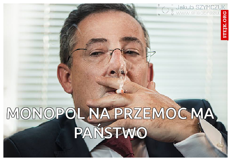 Monopol na przemoc ma państwo