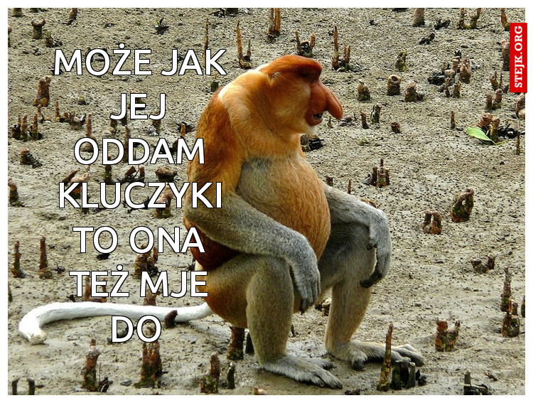 Może jak jej oddam kluczyki to ona też mje do 