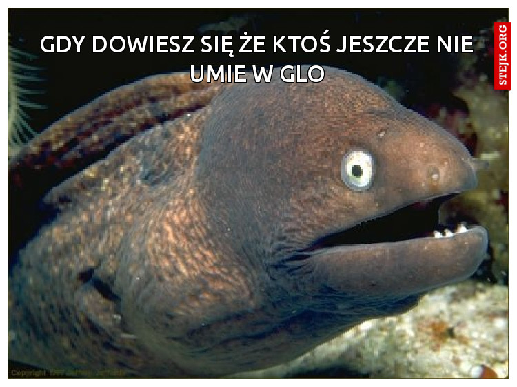 Gdy dowiesz się że ktoś jeszcze nie UMIe w glo
