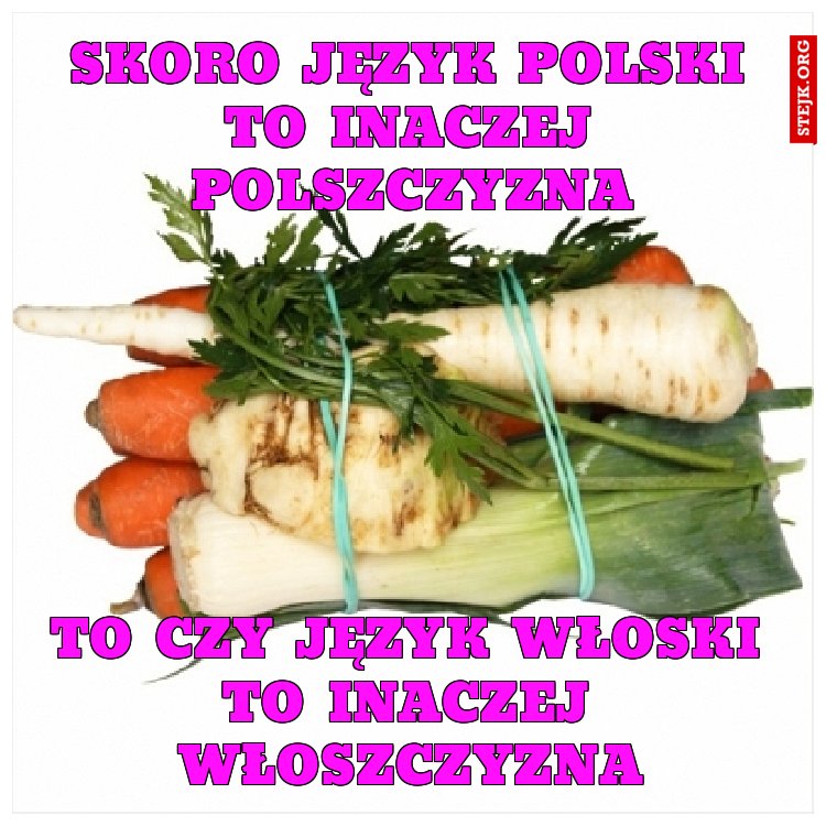 SKORO JĘZYK POLSKI TO INACZEJ POLSZCZYZNA