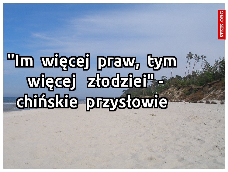 "Im  więcej  praw,  tym   więcej   złodziei" - chińskie  przysłowie