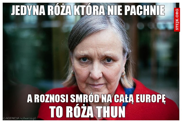 jedyna róża która nie pachnie