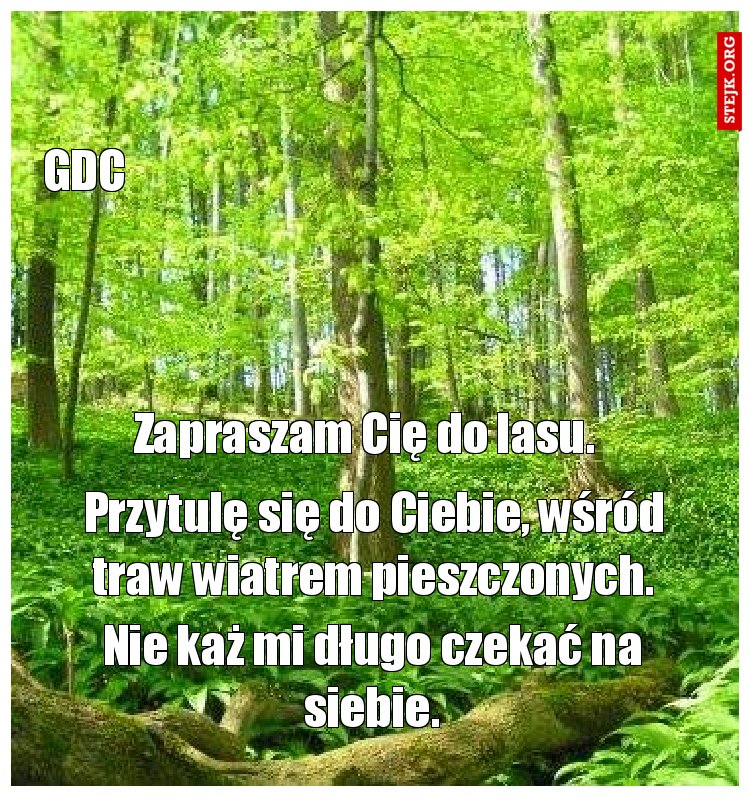 Zapraszam Cię do lasu.