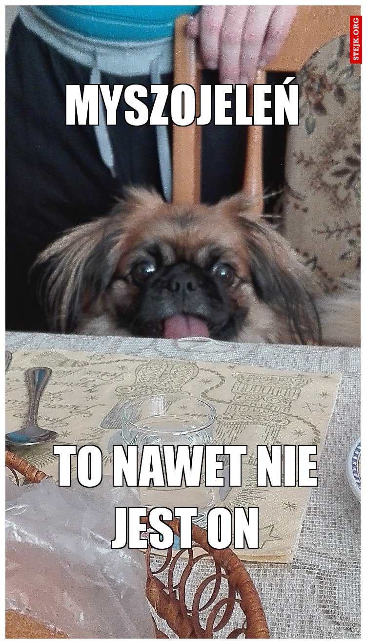MYSZOJELEŃ
