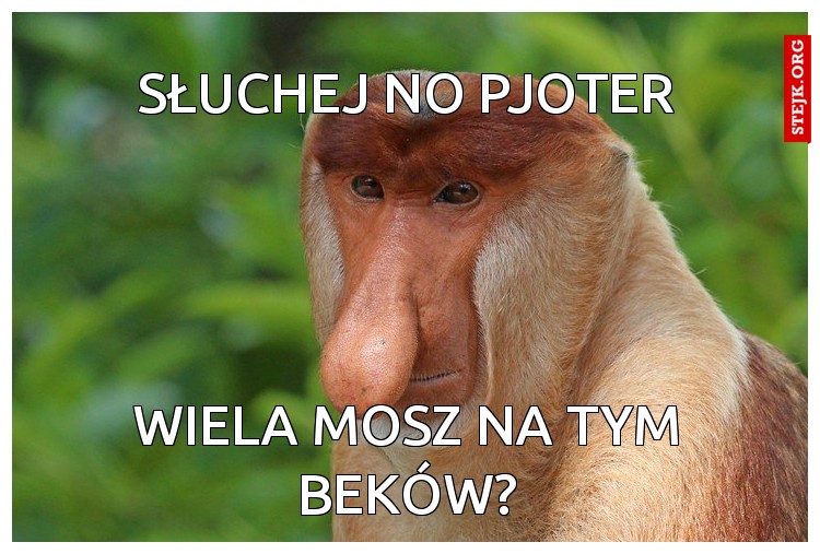 SŁUCHEJ NO PJOTER