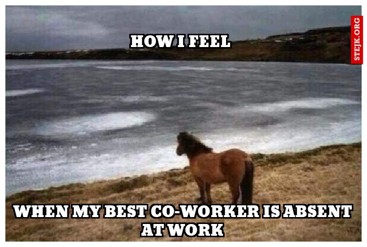 HOW I FEEL 
