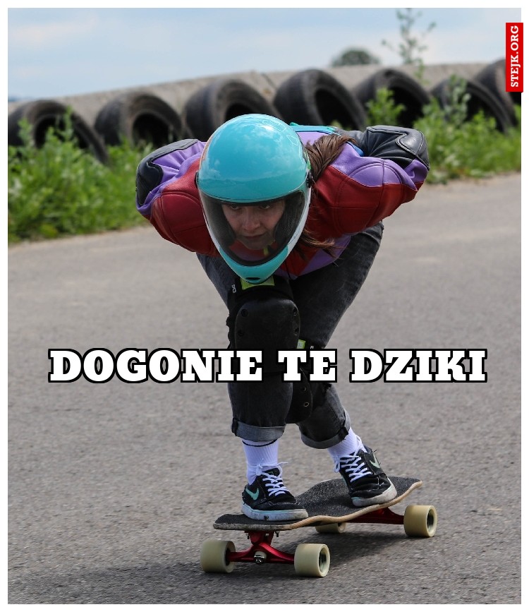 dogonie te dziki