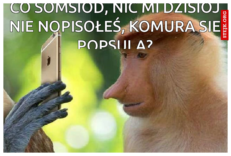 CO SOMSIOD, NIC MI DZISIOJ NIE NOPISOŁEŚ, KOMURA SIE POPSULA?
