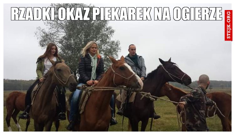 RZADKI OKAZ PIEKAREK NA OGIERZE