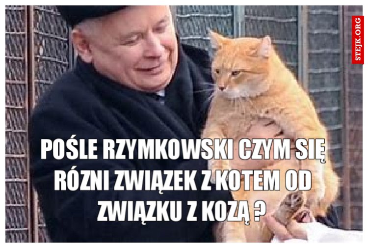 Pośle Rzymkowski czym się rózni związek z kotem od związku z kozą ?