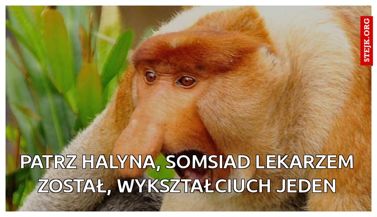 patrz halyna, somsiad lekarzem został, wykształciuch jeden