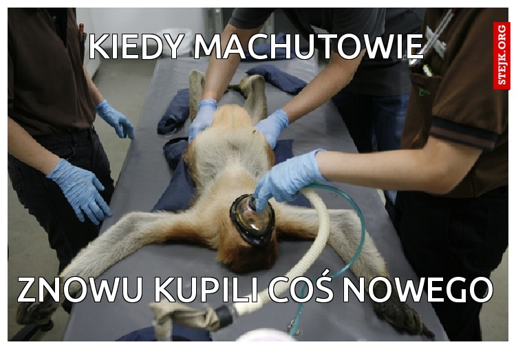 Kiedy machutowie