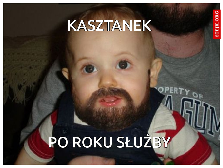 kasztanek 