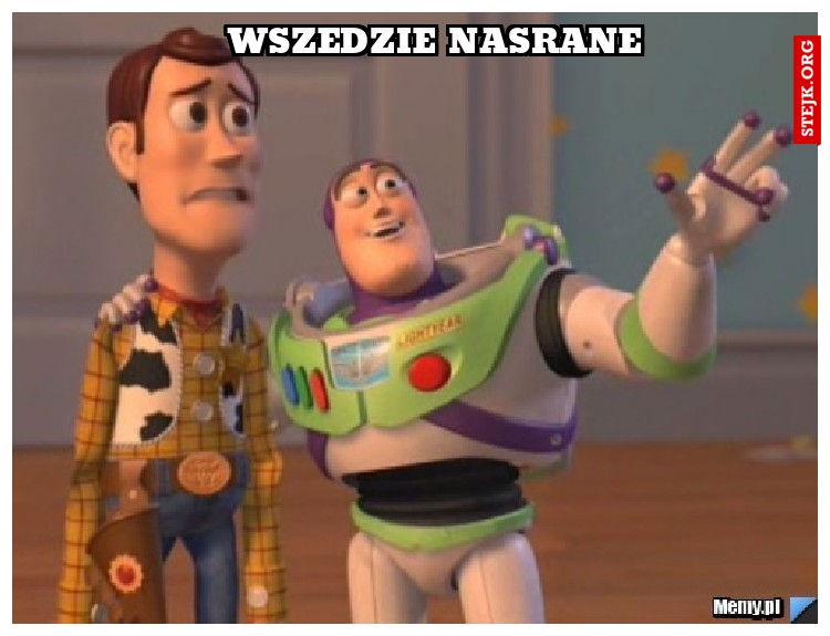 wszedzie nasrane