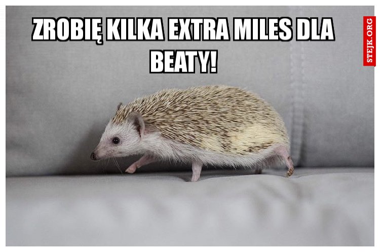 - Wiesz Kubusiu, że Maciek wspiera naszą akcję?
