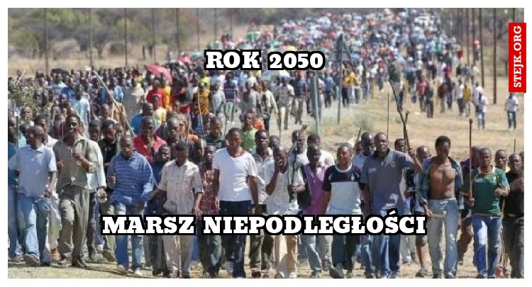 Rok 2050