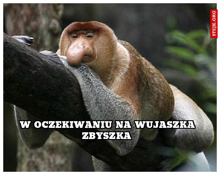 W oczekiwaniu na wujaszka Zbyszka 