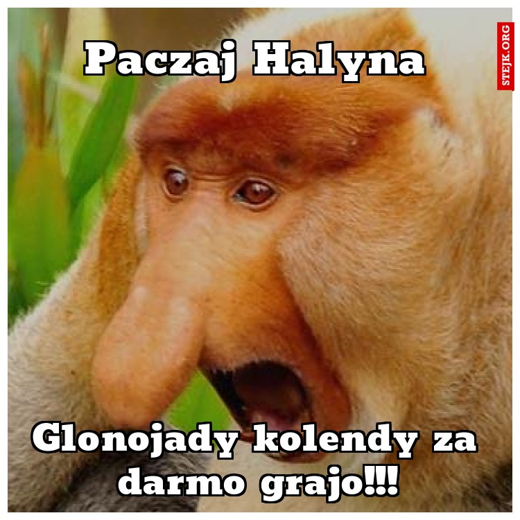Paczaj Halyna