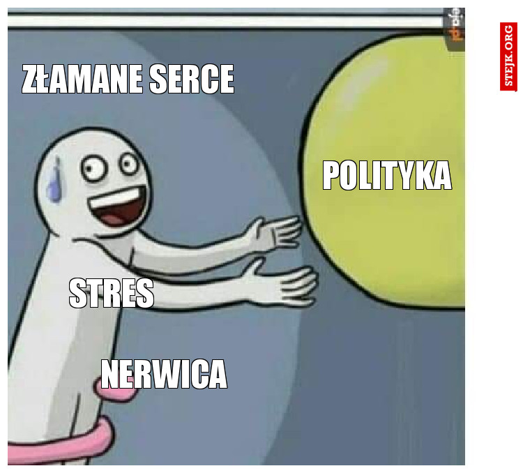 Polityka