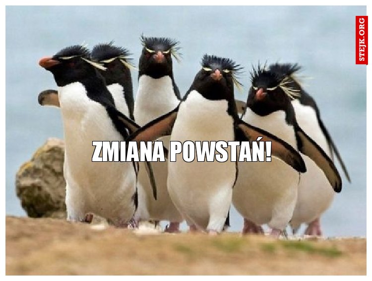 Zmiana powstań! 