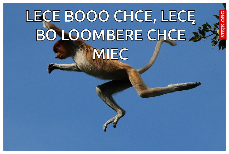 Lece booo chce, lecę bo Loombere chce miec