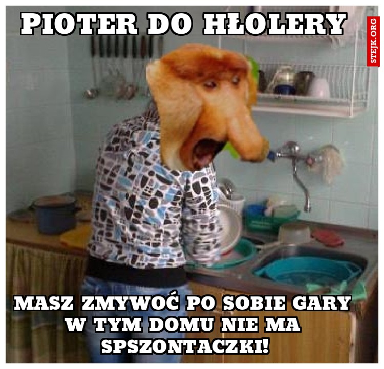 PIOTER DO HŁOLERY