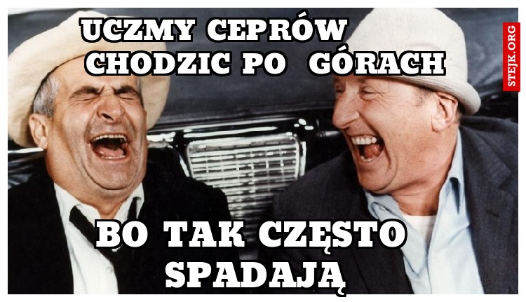 uczmy ceprów          chodzic po  górach