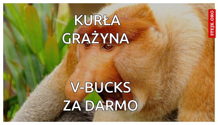 Kurła grażyna 