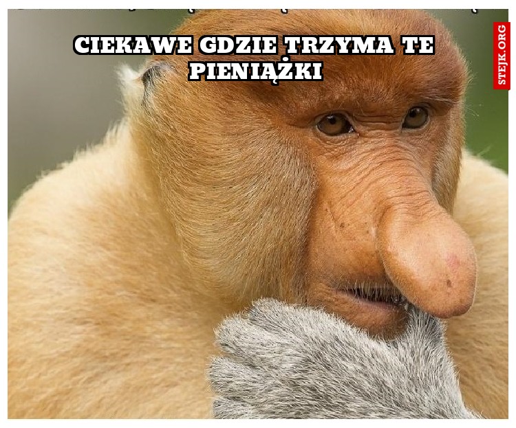 Ciekawe gdzie trzyma te pieniążki
