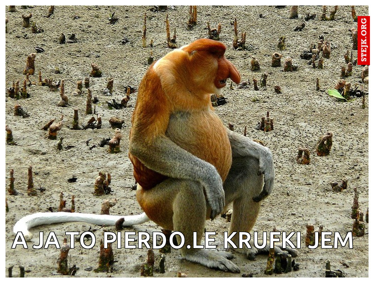 a ja to pierdo.le krufki jem 