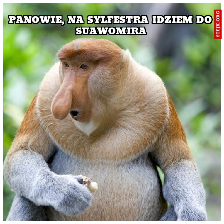 Panowie, na sylfestra idziem do suawomira