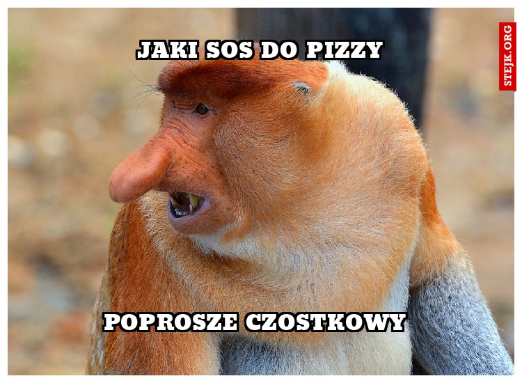 JAKI SOS DO PIZZY 